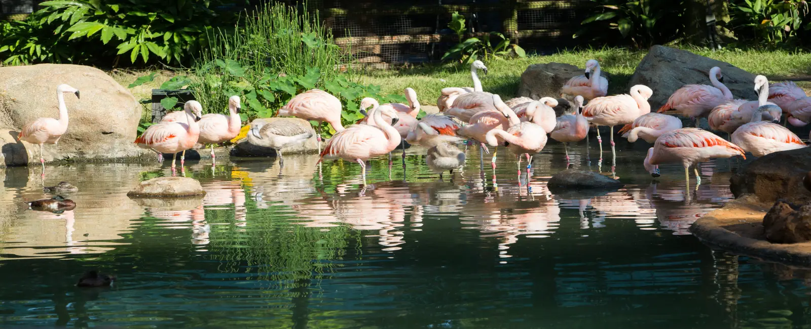 Sarthana Nature Park